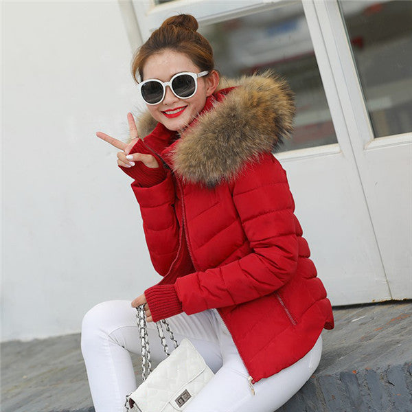 Winter Coat Women Jacket Parkas