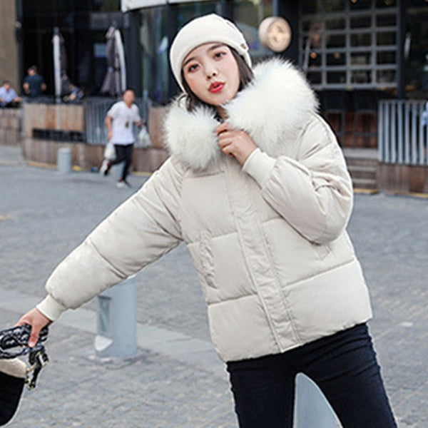 Winter Hooded Parkas Women Big Fake Fur