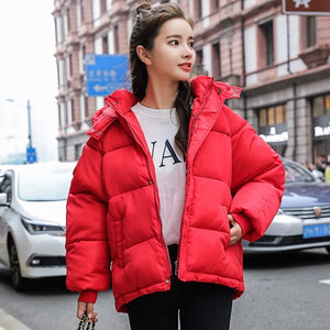 Winter Hooded Down Parka Coat Women